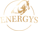ENERGYS