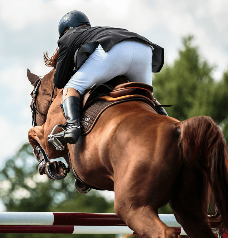 Horse jumping