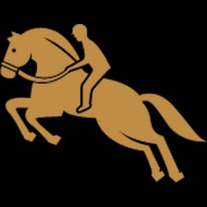 Bestermine Horse Mineral