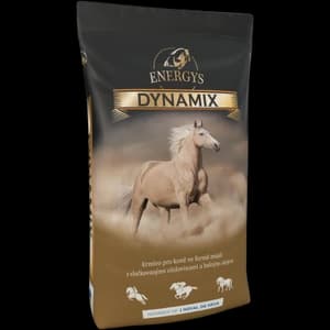 ENERGYS DYNAMIX