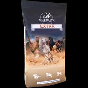 ENERGYS EXTRA 4 mm