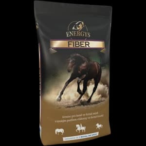 ENERGYS FIBER