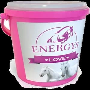 ENERGYS LOVE