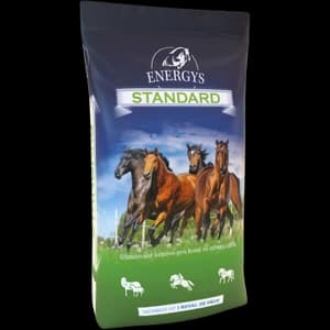 ENERGYS STANDARD